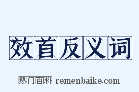 效首反义词是什么意思的图片